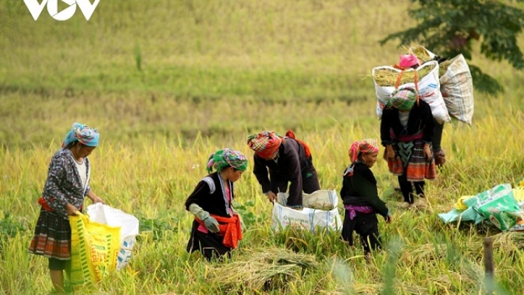 រដ្ឋាភិបាលវៀតណាមផ្តល់អាទិភាពដល់កំណើនសេដ្ឋកិច្ចដោយផ្សារភ្ជាប់នឹងគោលនយោបាយគិតគូរជូនជនរួមជាតិភាគតិច និងអ្នកក្រលំបាក។