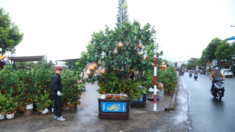 Ntơr ang năm mhe tât ta Tây Nguyên