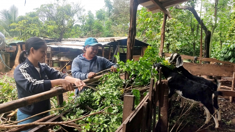 Dak Lak: Drŏ kăn bơngai kon kông tơplih đon tơchĕng, trong jang vă hơtŏk tơiung mŭk drăm, tơjur dơnuh hin kơjăp