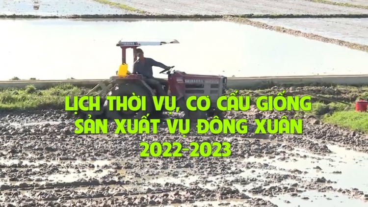 Lầy tzình  phát sinh ìu miền vả thứ 4 hoi 4.1.2023