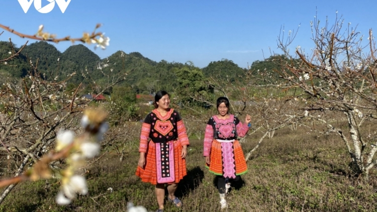 Dòng sông không quên