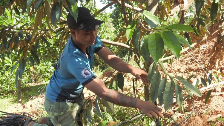 Djâ khoa hok, kơmăi kơmok troh a kong pơlê Kon Tum