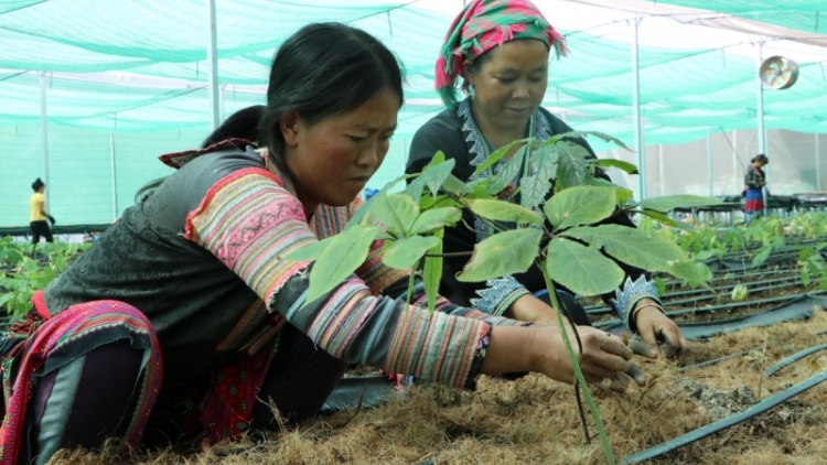 Tơơm za nươu-tơơm t’bil lơi đha rựt lâng pa dưr ca van âng đhanuôr da ding ca coong Sìn Hồ