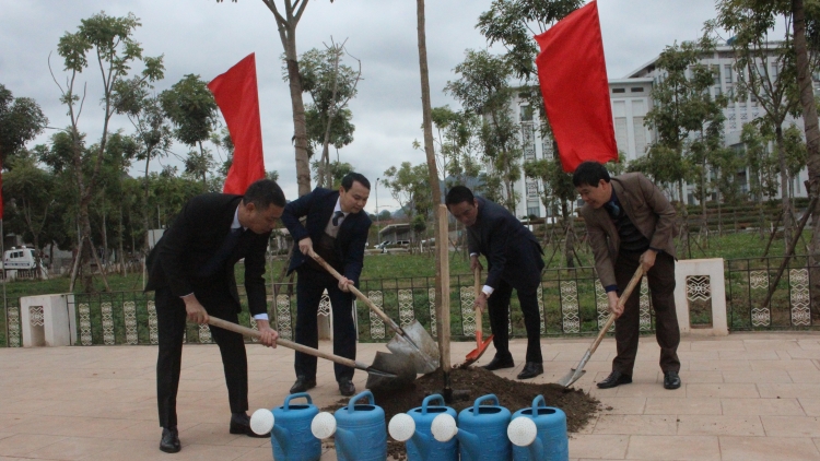 Quam kháo phổng Tày Bắc thứ 3 mự 31 bườn 01 pì 2023