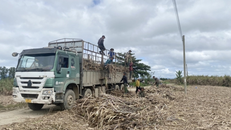 Tết djăp ênŭm mơ̆ng phung pla kbâo pioh mkra ƀêñ hra ti Dak Lak