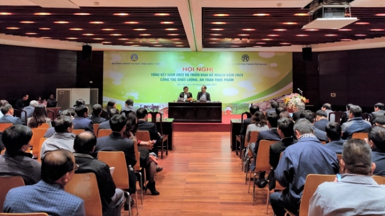 Vei lăng rơgŏh ‘lơ̆ng tơmam xa ƀât Tết Nguyên đán Quý Mão 2023