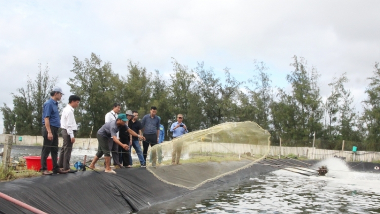 Kơjo kum kuăn pơlê  pêi chiâk pêi tiô troăng tơniăn