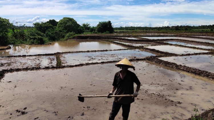 Tây Nguyên hơniâp ro lo pêi cheăng apoăng hơnăm