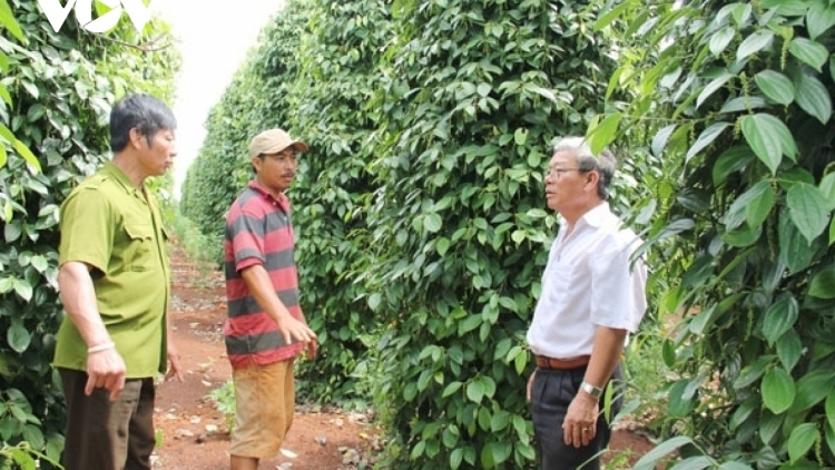 Đắk Lắk pa dưr xa nay bh’rợ k’rong bhrợ đh’rưah coh bh’rợ ch’choh b’băn