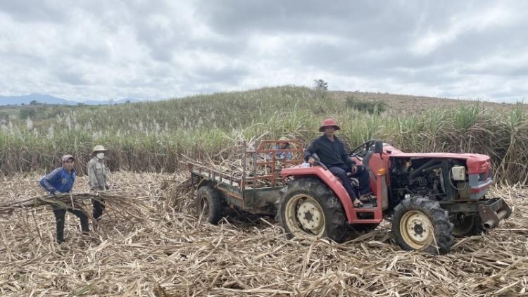 Têt trơi pơđao mơ̆ng mơnuih pla tơbâo ƀơi Dak Lak