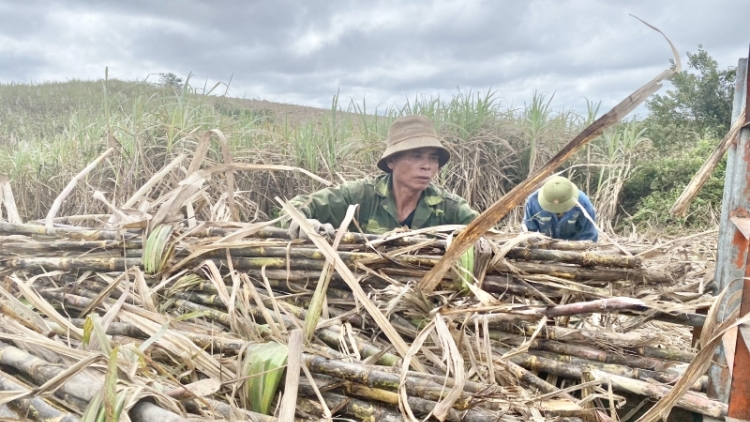 Tết ăp tŏng bah nuĭh tăm tao ta Dak Lak