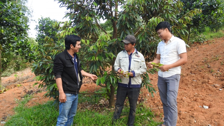 Khu tơrŭm pêi chiâk krúa lĕm kong prâi dêi mơngế pêi chiâk deăng rơxông xúa kŏng ngê̆ kơxô̆