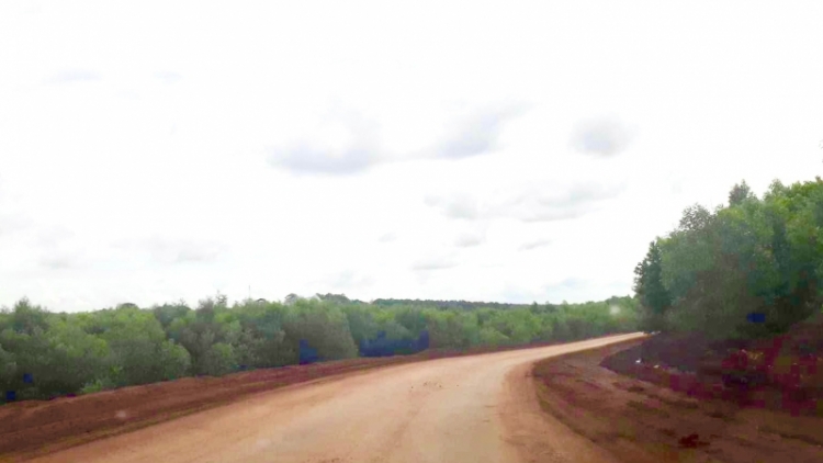 Dak Nông: Rơkâo brơi glăi 310 ha lŏn anih mă abih laih eh pơsơi Bauxit