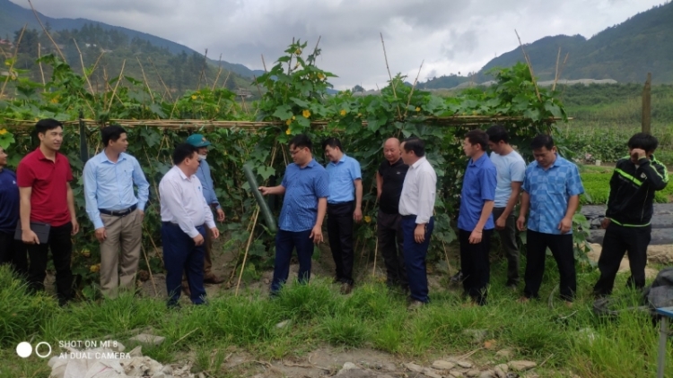 Liêm choom tơợ zâp bh’rợ đh’rứah lâng đhanuôr bơơn bh’nơơn dal cóh Sa Pa