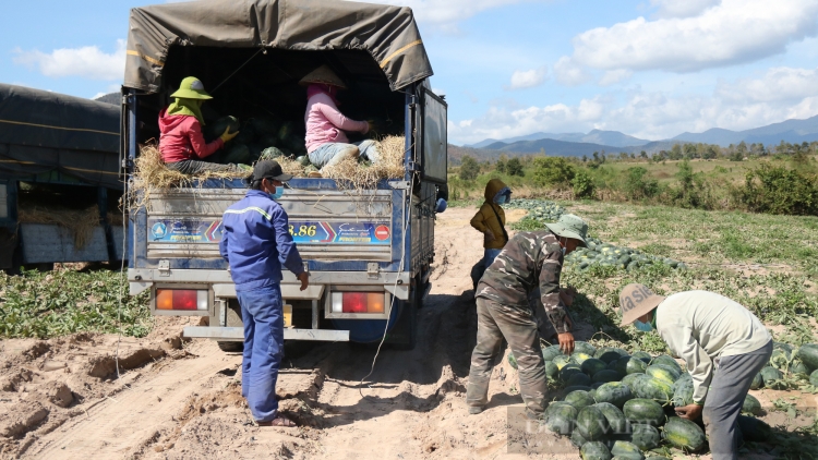Yan mkai phĭ ti Krông Pa, Gia Lai