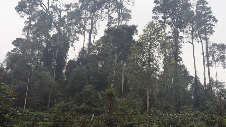 Broă sền gàr brê bơh cau Mông Nà Hẩu dê