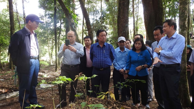 Kruanh n’gâng kan tuch tăm pah kan đah n’gor Kon Tum.