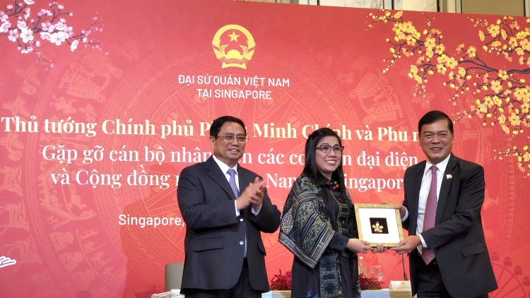  Khua knŭk kna bi mtuôm hŏng phung knuă druh mnuih ngă bruă anôk bruă bi ala, lehanăn mnuih Việt Nam dôk hdĭp ti Singapore