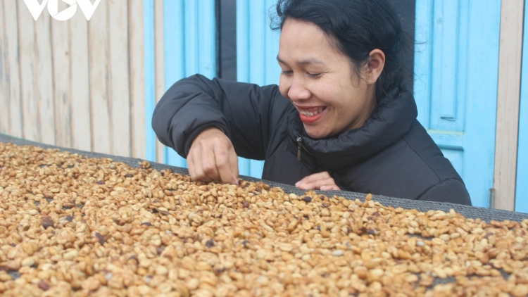 Dŏng công nghệ, tuch tăm mât rong Lạc Dương đăt ndal