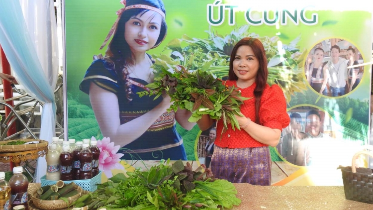 Gơ hòi gơ jà mờ mờr 150 bơta phan sa bơkah càr Kon Tum