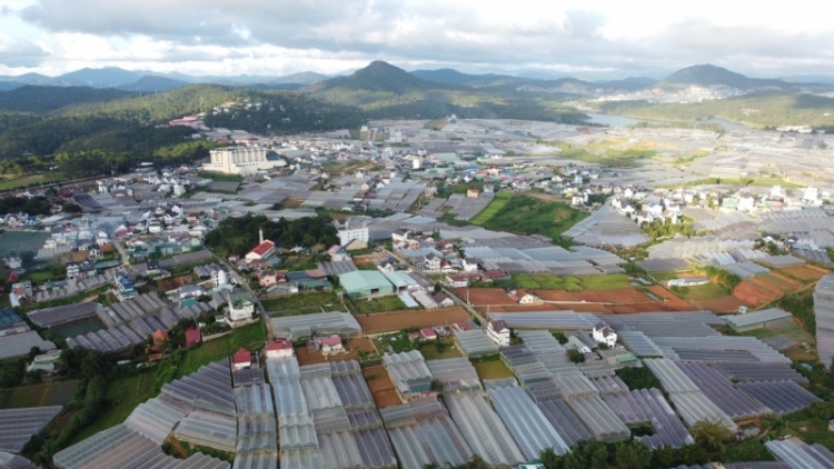 Lâm Đồng kiăng hmâo 177 klai prăk ba tơbiă sang gôm đang pla mơng krah plơi prong Đà Lạt pơ̆ guai plơi prong 