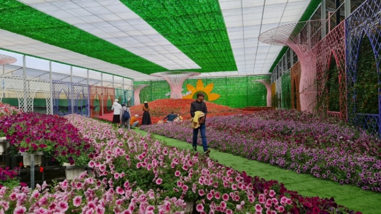 Lâm Đồng ruh mgaih klei dleh kpăk čiăng mđĭ kyar bruă hiu čhưn ênguê nao mbĭt hŏng bruă lŏ hma