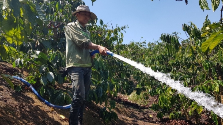 Tây Nguyên hbrâ tăng têa [ă mơdât on chếo kong