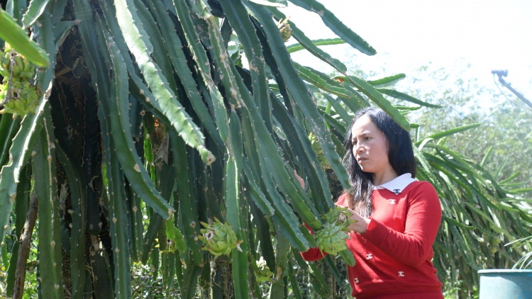 Amoó Nguyễn Thị Hiền-Pa dưr pa xớc pr’ắt tr’mung pr’loọng đông đhị zr’lụ k’noong k’tiếc