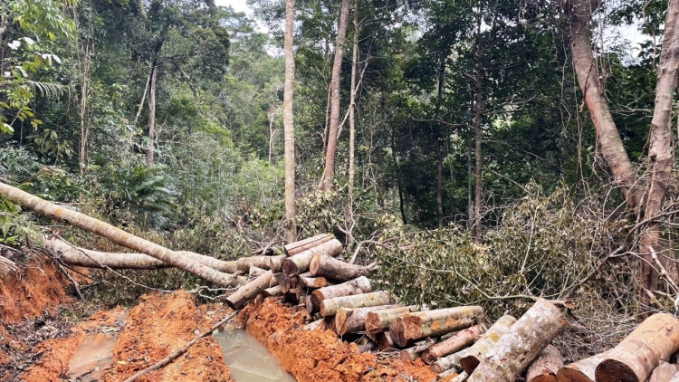 Khánh Hòa: K’đươi ch’mêêt lêy liêm bhrơợ bh’rợ ma nưih bhrợ lêt xa nay crâng bhrợ c’lâng moot pa hư crâng