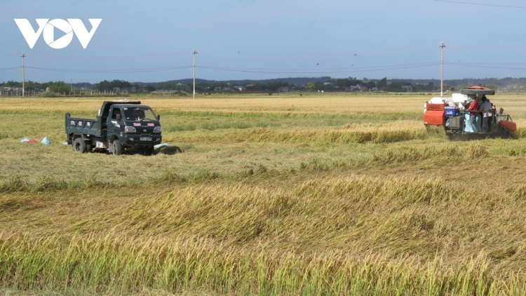 ពត៌មាន ម៉ោង ១៥