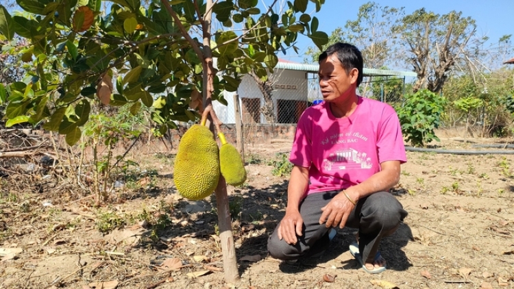 Bấc pr’loọng đhanuôr Tây Nguyên zươc z’lâh đha rựt