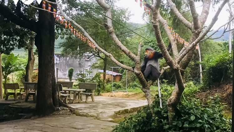 Phú Yên: Bơơn lêy 3 p’nong Bọo Chà vá dzung bh’luuc coh zr’lụ đhanuôr ặt