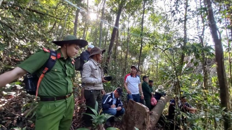 Quảng Nam lêy cha mêệt, toom bhrợ tu bhiệc pa hư crâng a bhuy đhị chrhoong Đông Giang