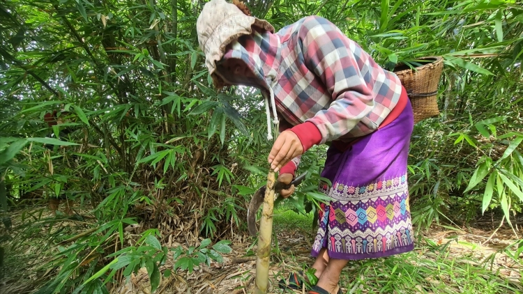 Bh’nơơn OCOP 3 sao “ Abăng goo Cà Roòng” âng dha nuôr Vân Kiều