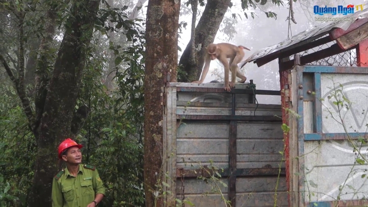 P’loh 3 p’nong bhọot chr’năp pr’hắt chô ooy crâng