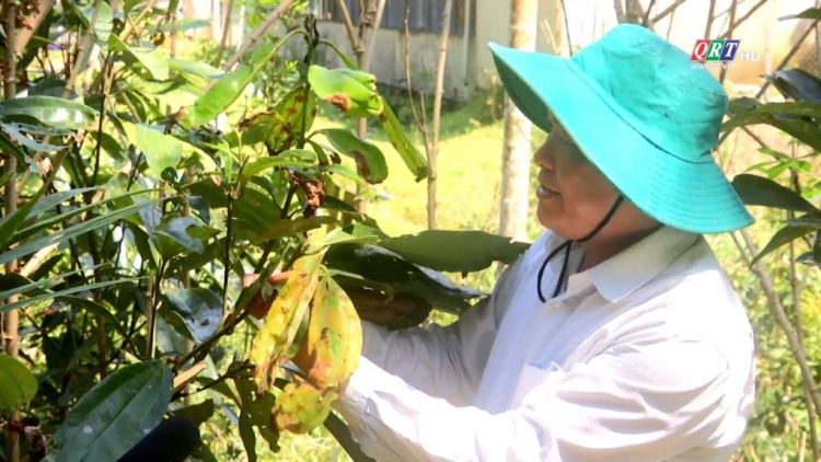 N’leh pr’luh coh tơơm quế Trà My
