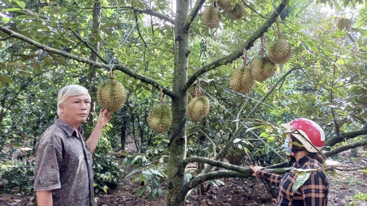 Ntŭk kan têh dăng lơn bâh ăp đảng viên leo bôk năp