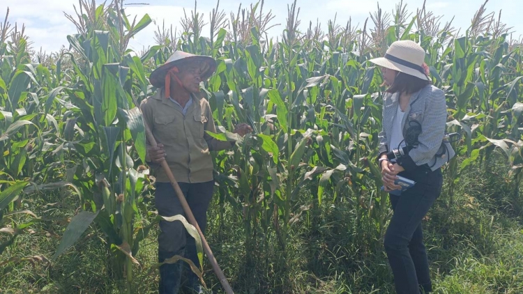 Kon Tum: Hŭch bah ir khuch khat roh huach tâm nău kan tuch tăm kêng dŭt khay wai