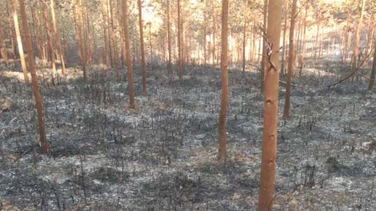 Bruă Đảng čar Kon Tum mtă brei ngă bi mngač klei pui ƀơ̆ng dliê ana mtŭk truh kơ 2 čô mnuih djiê 