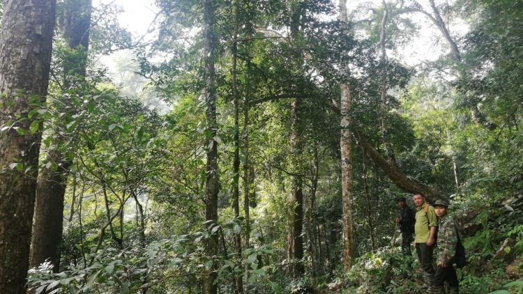 Kal kơlo tŏng kum tơxâng vâ kuăn pơlê  châ “rêh” ing tơdroăng rak ngăn kong