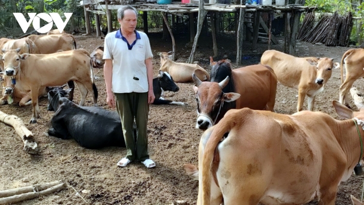 Cựu chiến binh âng vel Mường