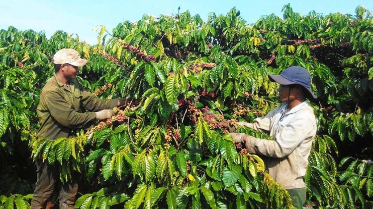 Ală cau lơh broă sa chờ hờp