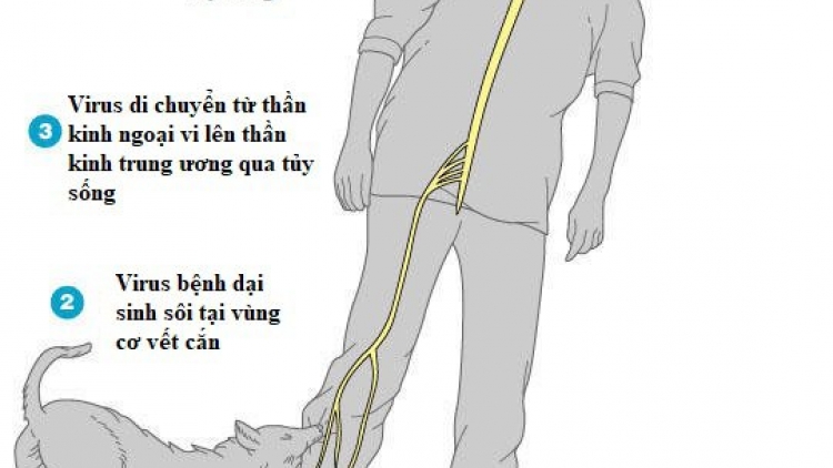 MENG AKOK THUN MBIAH TAL INI, DALAM NEGAR HU 4 URANG METAI KAYUA RUAK MERUAI GALA