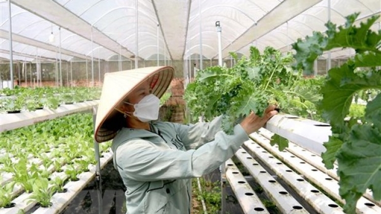 Jơnum djru anom ngă ƀong hrom yua đah kơmơi wai lăng, pơsir bruă mă kơ đah kơmơi truh thun 2030