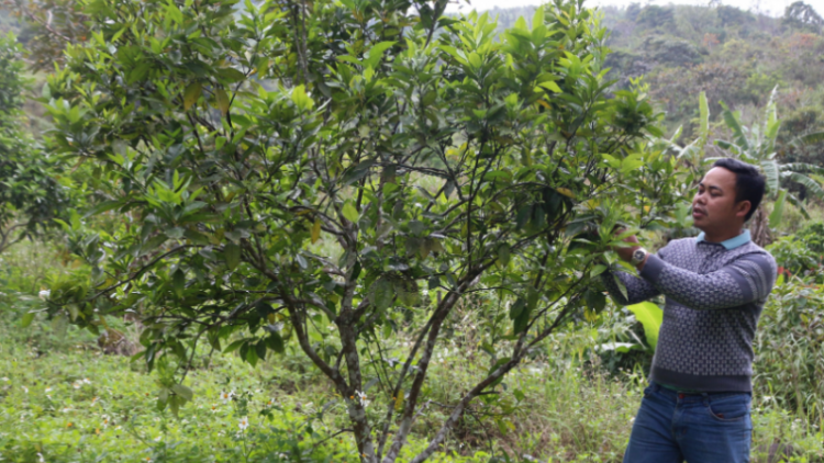 Đảng viên bhrợ cha choom coh da ding ca coong Quảng Nam