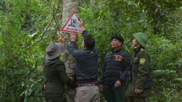 Tsaz yênhx nta suôz luk Hmôngz hnuz 15-3-2023