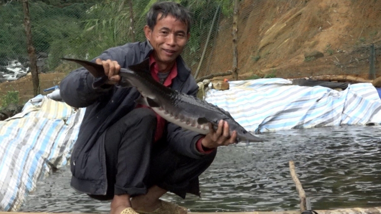 Chương trình phát thanh quam Tay thứ 5 mự 30 bườn 3 pì 2023 