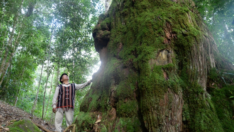 Tây Giang: Pa dưr râu chr’năp âng apêê t’cooh bhươl, manuyh vêy bấc ngai chắp coh bh’rợ zư lêy crâng