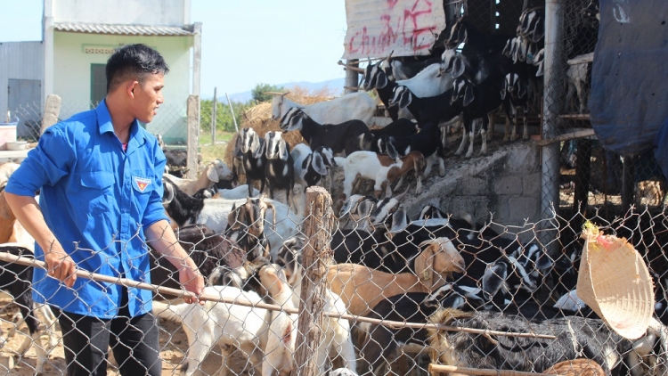 BRUK PATAGOK KINH TE DI DAM DARA BANGSA TAKIK DI BINH THUAN