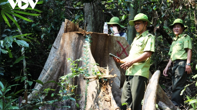 Xang bêl VOV xay moon, Chủ tịch UBND tỉnh Bình Định k’đươi moon bhrợ ghít tu bhiệc pa hư crâng g’mrâng